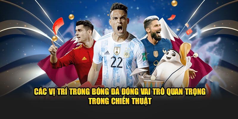 cac-vi-tri-trong-bong-da-dong-vai-tro-quan-trong-trong-chien-thuat