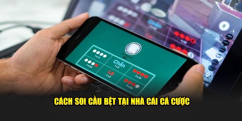 cach-soi-cau-bet-tai-nha-cai-ca-cuoc