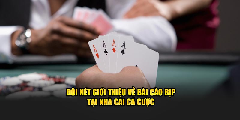 doi-net-gioi-thieu-ve-bai-cao-bip-tai-nha-cai-ca-cuoc