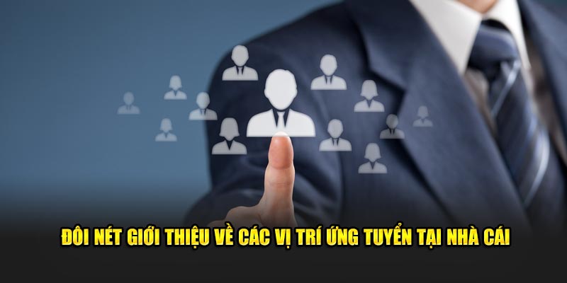 doi-net-gioi-thieu-ve-cac-vi-tri-ung-tuyen-tai-nha-cai