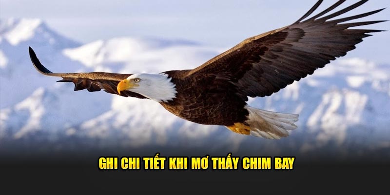 ghi-chi-tiet-khi-mo-thay-chim-bay