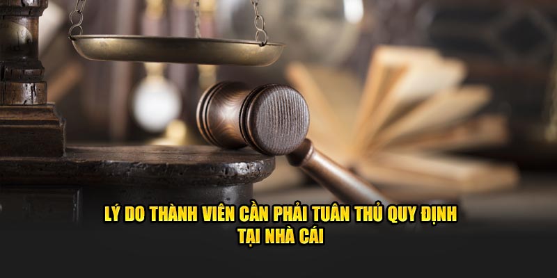 ly-do-thanh-vien-can-phai-tuan-thu-quy-dinh-tai-nha-cai