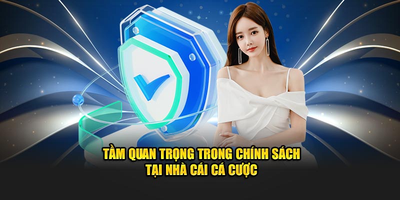 tam-quan-trong-trong-chinh-sach-tai-nha-cai-ca-cuoc